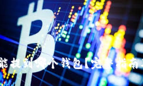 USDT能提到哪个钱包？完整指南及推荐